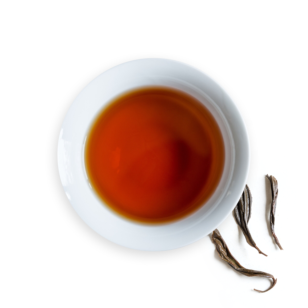 Double Wall Glass Tea Tumbler - Teaware & Tea Accessories - Mad Monk Tea